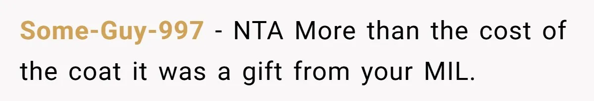 Some-Guy-997 − NTA More than the cost of the coat it was a gift from your MIL.