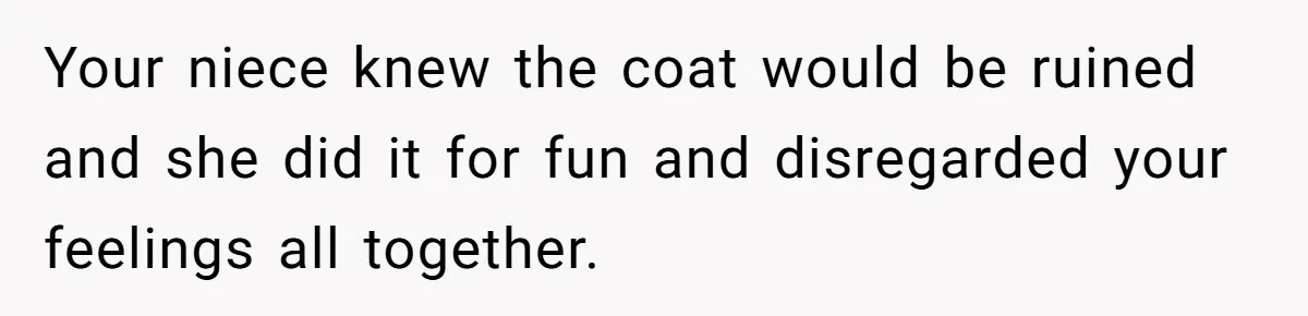 Your niece knew the coat would be ruined and she did it for fun and disregarded your feelings all together.