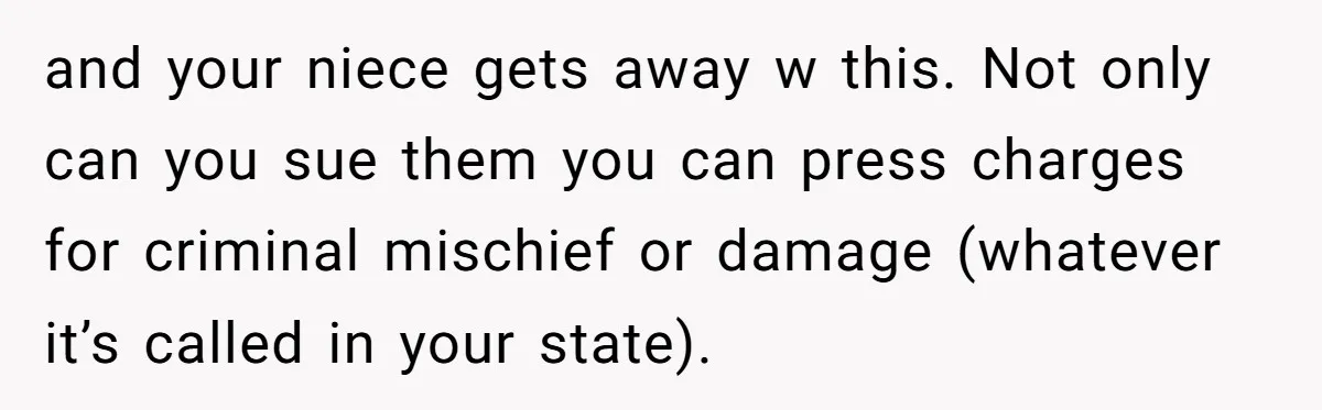 and your niece gets away w this. Not only can you sue them you can press charges for criminal mischief or damage (whatever it’s called in your state).