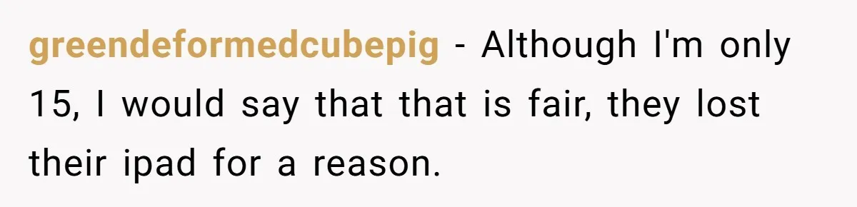 greendeformedcubepig − Although I'm only 15, I would say that that is fair, they lost their ipad for a reason.