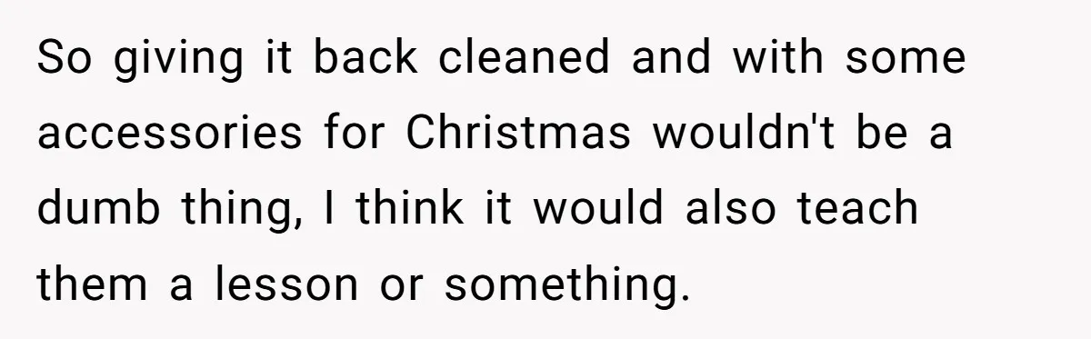 So giving it back cleaned and with some accessories for Christmas wouldn't be a dumb thing, I think it would also teach them a lesson or something.