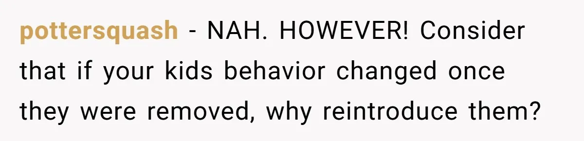 pottersquash − NAH. HOWEVER! Consider that if your kids behavior changed once they were removed, why reintroduce them?