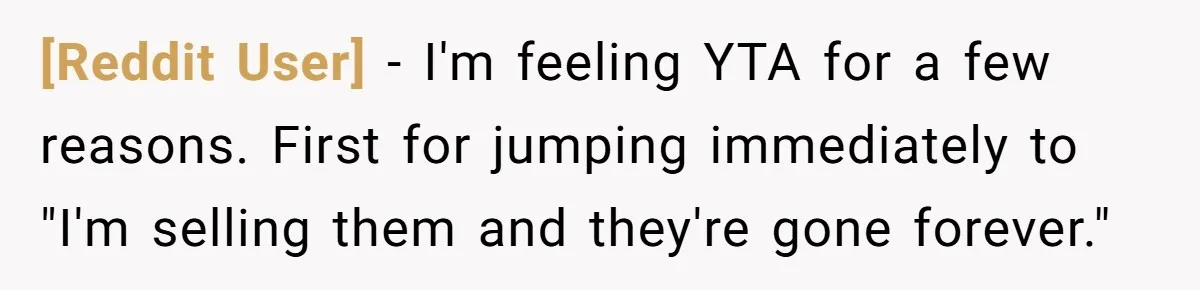 [Reddit User] − I'm feeling YTA for a few reasons. First for jumping immediately to "I'm selling them and they're gone forever."
