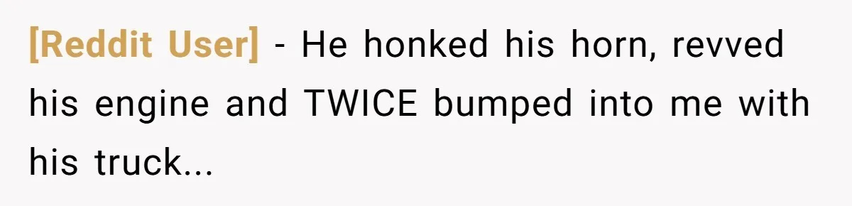 [Reddit User] − He honked his horn, revved his engine and TWICE bumped into me with his truck...