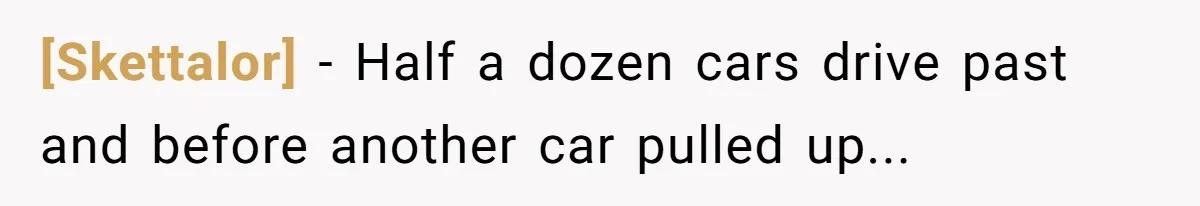 [Skettalor] − Half a dozen cars drive past and before another car pulled up...