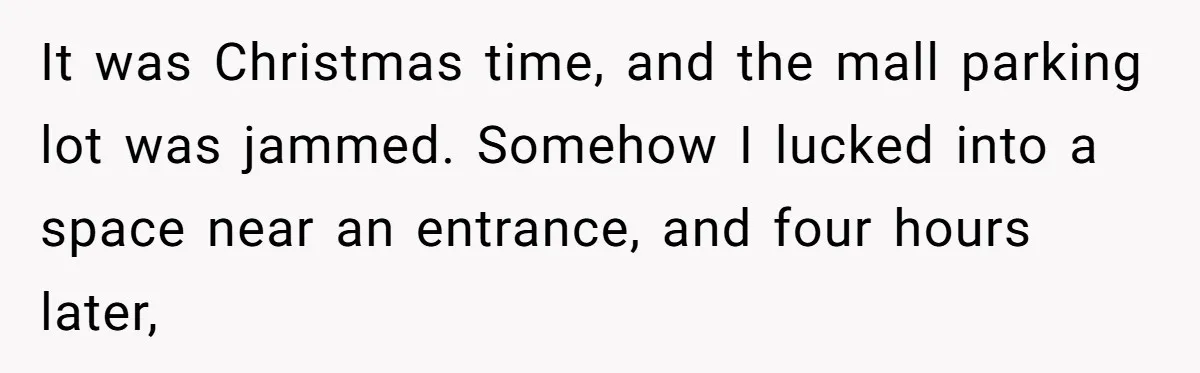 It was Christmas time, and the mall parking lot was jammed. Somehow I lucked into a space near an entrance, and four hours later,