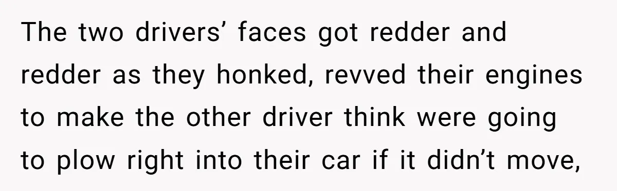 The two drivers’ faces got redder and redder as they honked, revved their engines to make the other driver think were going to plow right into their car if it...