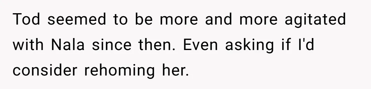 Tod seemed to be more and more agitated with Nala since then. Even asking if I'd consider rehoming her.