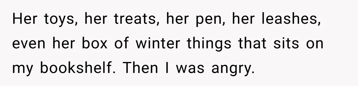 Her toys, her treats, her pen, her leashes, even her box of winter things that sits on my bookshelf. Then I was angry.