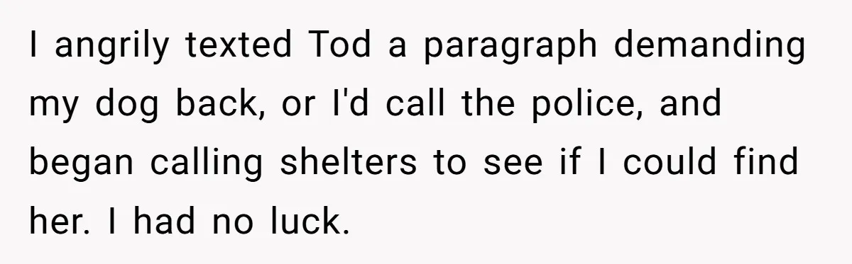 I angrily texted Tod a paragraph demanding my dog back, or I'd call the police, and began calling shelters to see if I could find her. I had no luck.