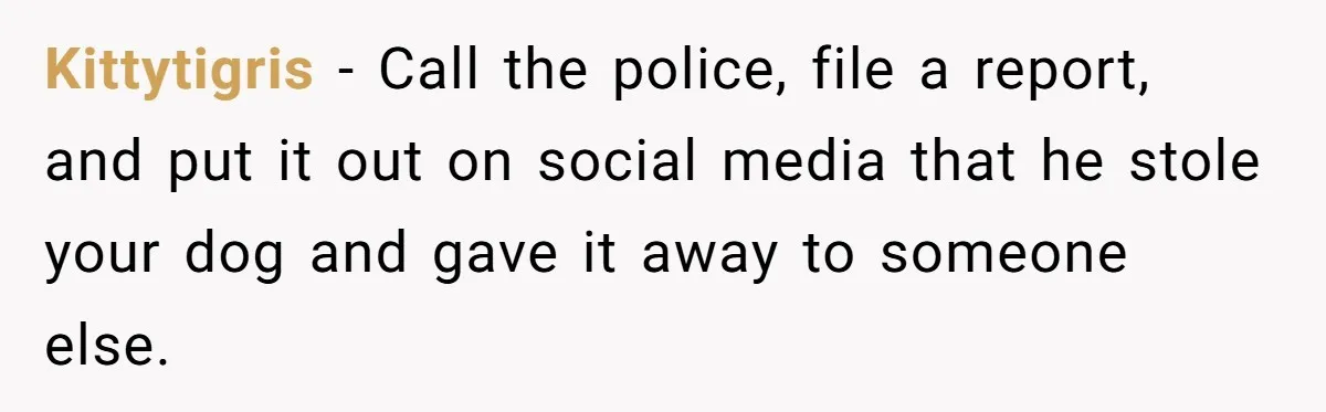 Kittytigris − Call the police, file a report, and put it out on social media that he stole your dog and gave it away to someone else.