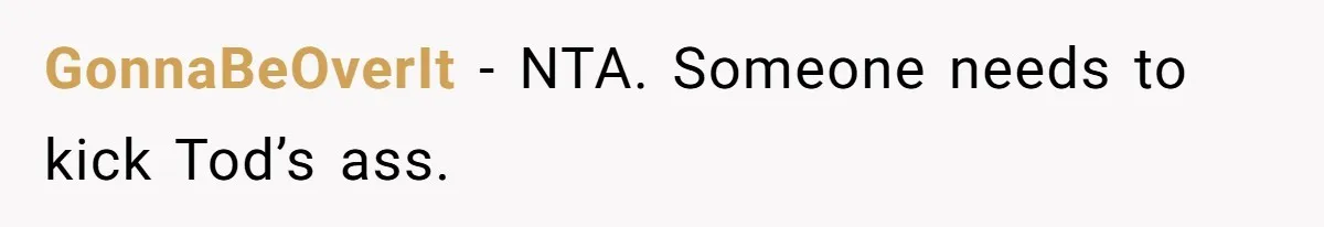 GonnaBeOverIt − NTA. Someone needs to kick Tod’s ass.