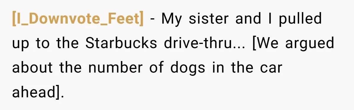 [I_Downvote_Feet] - My sister and I pulled up to the Starbucks drive-thru... [We argued about the number of dogs in the car ahead].