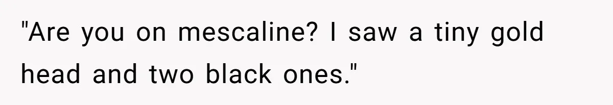 "Are you on mescaline? I saw a tiny gold head and two black ones."