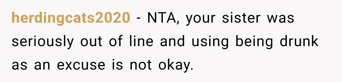 herdingcats2020 − NTA, your sister was seriously out of line and using being drunk as an excuse is not okay.