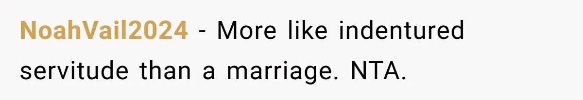 NoahVail2024 − More like indentured servitude than a marriage. NTA.