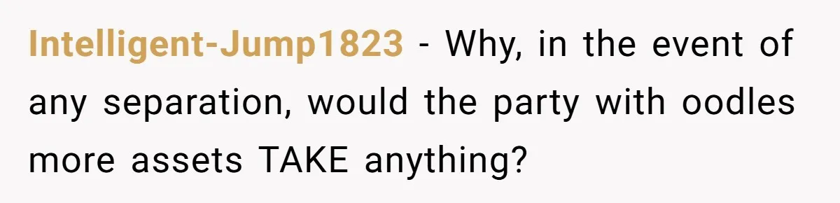 Intelligent-Jump1823 − Why, in the event of any separation, would the party with oodles more assets TAKE anything?