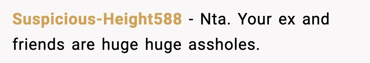 Suspicious-Height588 − Nta. Your ex and friends are huge huge assholes.