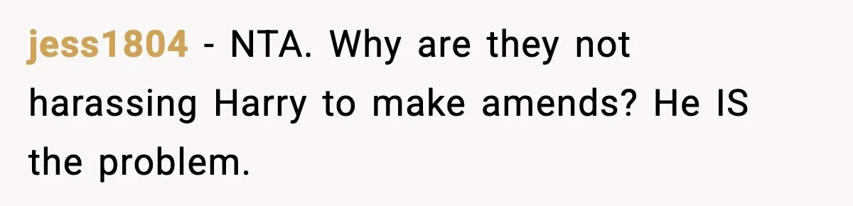 jess1804 − NTA. Why are they not harassing Harry to make amends? He IS the problem.