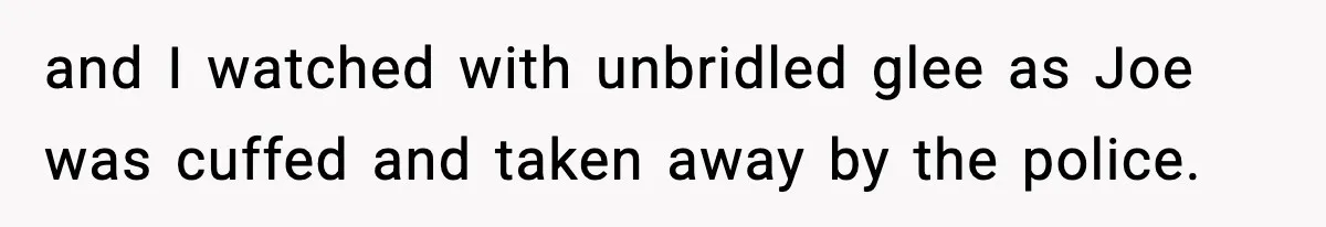 and I watched with unbridled glee as Joe was cuffed and taken away by the police.
