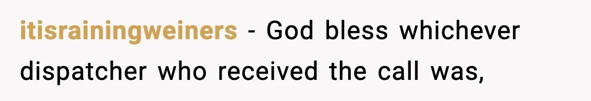 itisrainingweiners − God bless whichever dispatcher who received the call was,