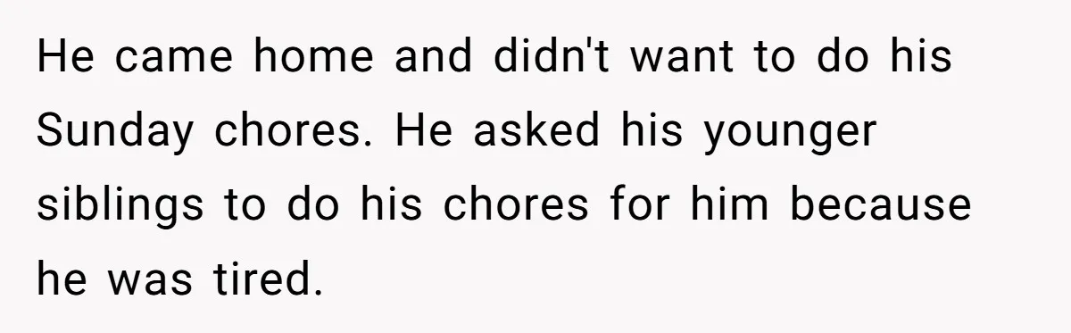 Eldest Brother Refuses To Share His Restaurant Leftovers With 11-Year-Old Sister After A Petty Reason He came home and didn't want to do his Sunday chores. He asked his younger siblings to do his chores for him because he was tired.