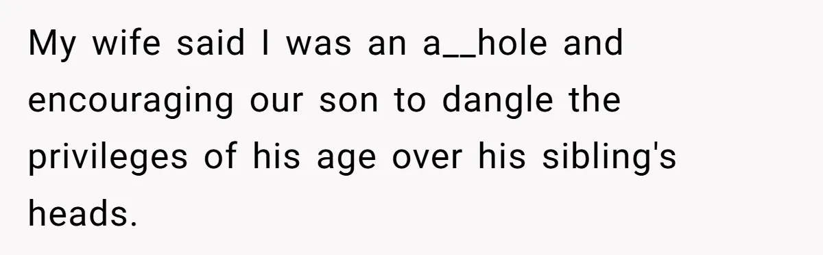 Eldest Brother Refuses To Share His Restaurant Leftovers With 11-Year-Old Sister After A Petty Reason My wife said I was an a__hole and encouraging our son to dangle the privileges of his age over his sibling's heads.