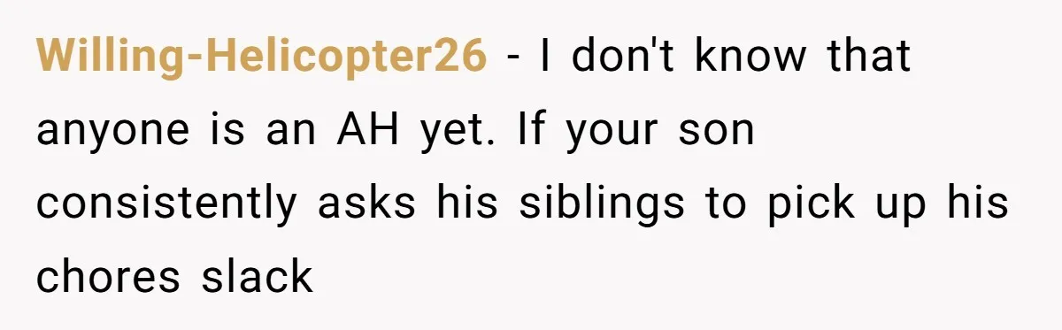 Eldest Brother Refuses To Share His Restaurant Leftovers With 11-Year-Old Sister After A Petty Reason Willing-Helicopter26 − I don't know that anyone is an AH yet. If your son consistently asks his siblings to pick up his chores slack