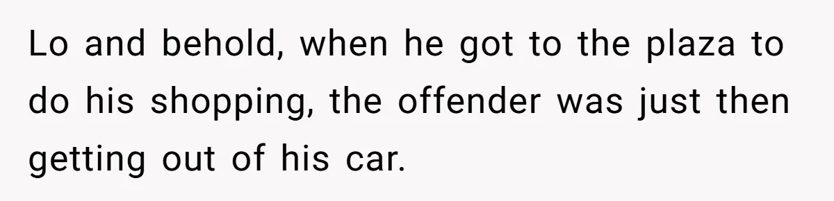 Lo and behold, when he got to the plaza to do his shopping, the offender was just then getting out of his car.