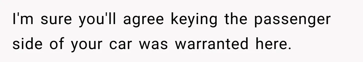 I'm sure you'll agree keying the passenger side of your car was warranted here.
