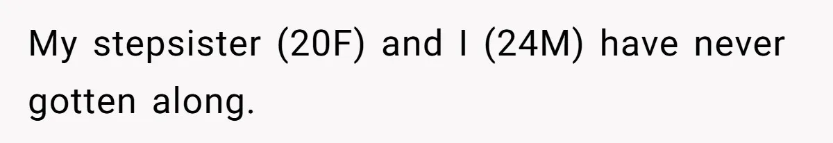 My stepsister (20F) and I (24M) have never gotten along.