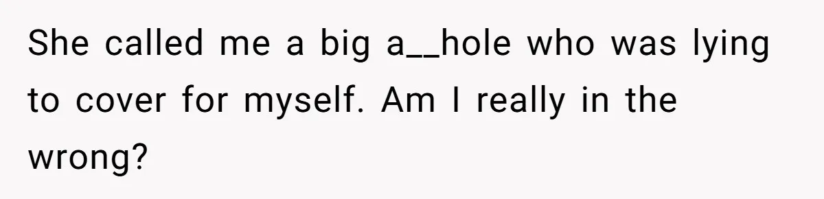 She called me a big a__hole who was lying to cover for myself. Am I really in the wrong?