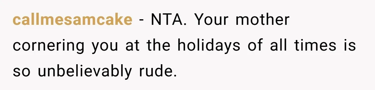 callmesamcake − NTA. Your mother cornering you at the holidays of all times is so unbelievably rude.