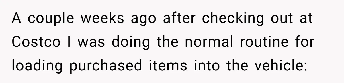 A couple weeks ago after checking out at Costco I was doing the normal routine for loading purchased items into the vehicle: