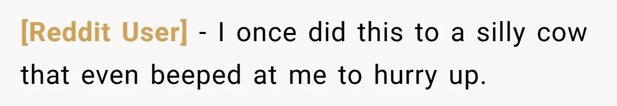 [Reddit User] − I once did this to a silly cow that even beeped at me to hurry up.