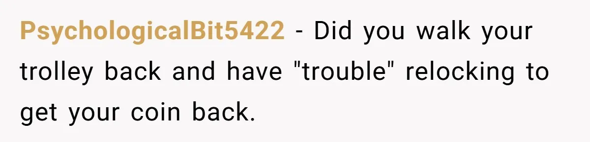 PsychologicalBit5422 − Did you walk your trolley back and have "trouble" relocking to get your coin back.