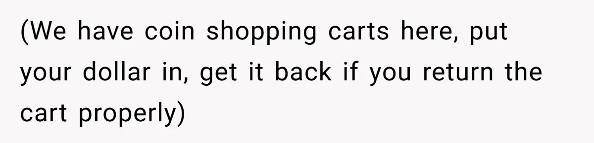(We have coin shopping carts here, put your dollar in, get it back if you return the cart properly)
