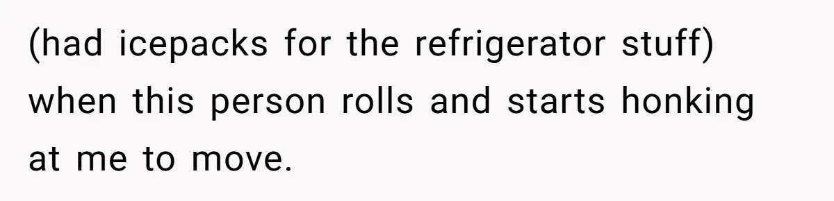 (had icepacks for the refrigerator stuff) when this person rolls and starts honking at me to move.