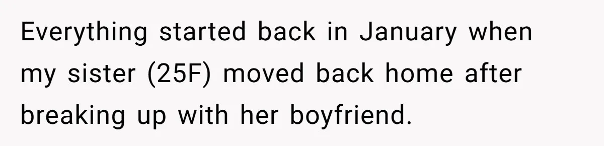 Everything started back in January when my sister (25F) moved back home after breaking up with her boyfriend.