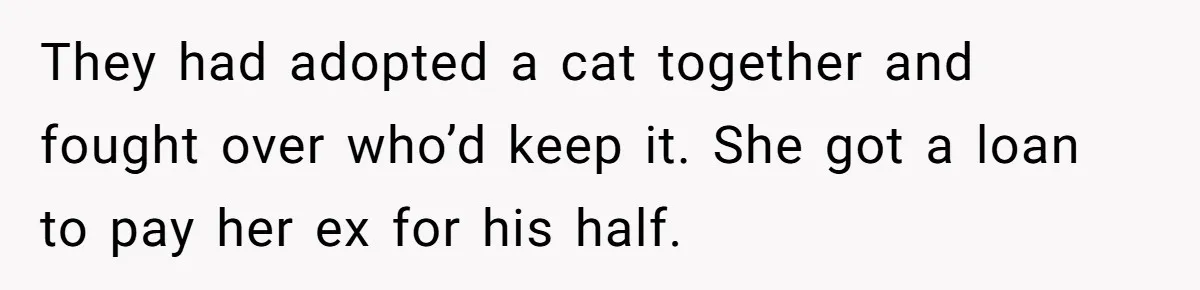 They had adopted a cat together and fought over who’d keep it. She got a loan to pay her ex for his half.