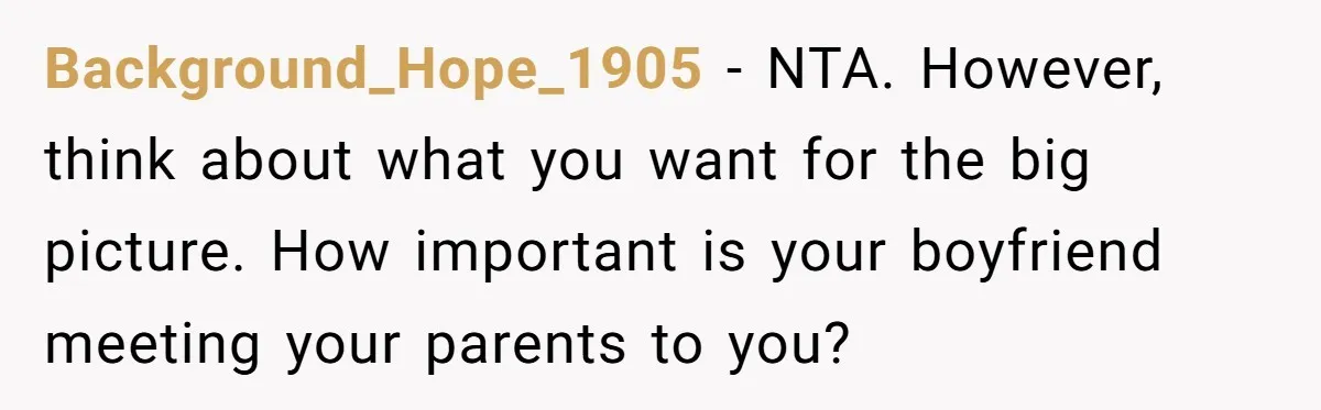 Background_Hope_1905 − NTA. However, think about what you want for the big picture. How important is your boyfriend meeting your parents to you?
