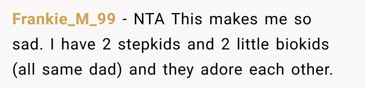 Frankie_M_99 − NTA This makes me so sad. I have 2 stepkids and 2 little biokids (all same dad) and they adore each other.