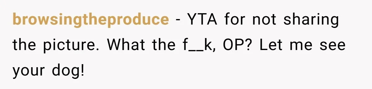 browsingtheproduce − YTA for not sharing the picture. What the f__k, OP? Let me see your dog!