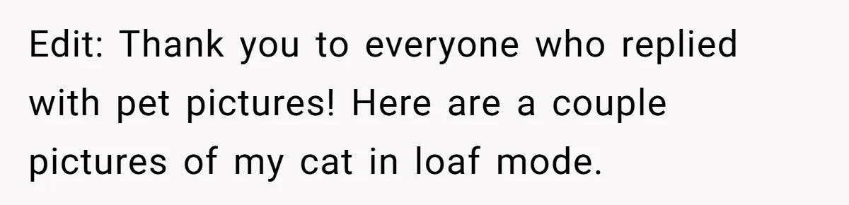 Edit: Thank you to everyone who replied with pet pictures! Here are a couple pictures of my cat in loaf mode.