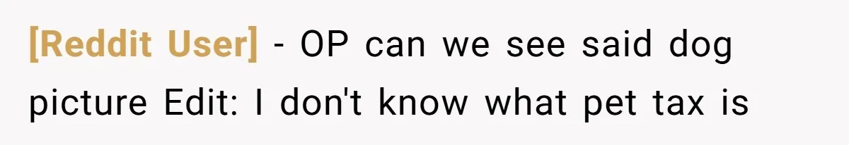 [Reddit User] − OP can we see said dog picture Edit: I don't know what pet tax is
