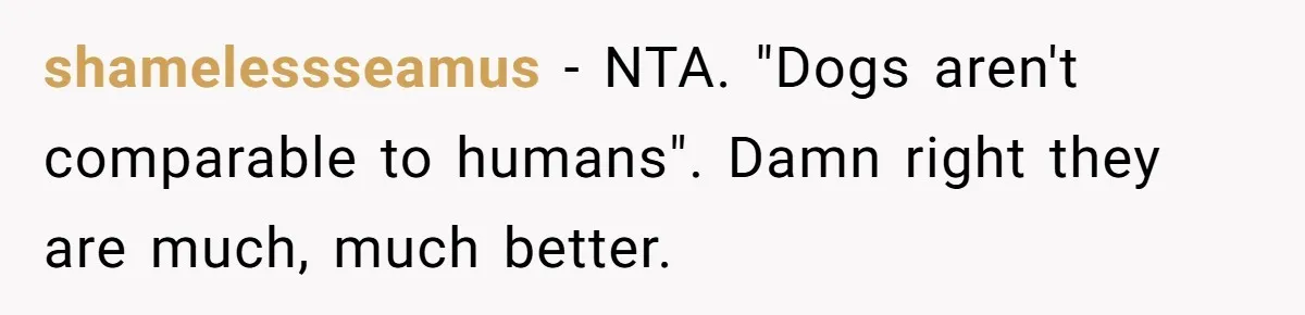 shamelessseamus − NTA. "Dogs aren't comparable to humans". Damn right they are much, much better.