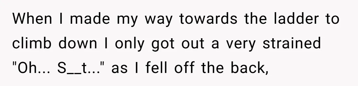 When I made my way towards the ladder to climb down I only got out a very strained "Oh... S__t..." as I fell off the back,