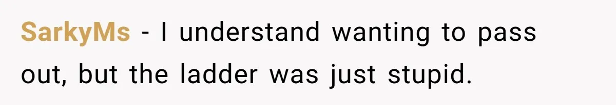 SarkyMs − I understand wanting to pass out, but the ladder was just stupid.