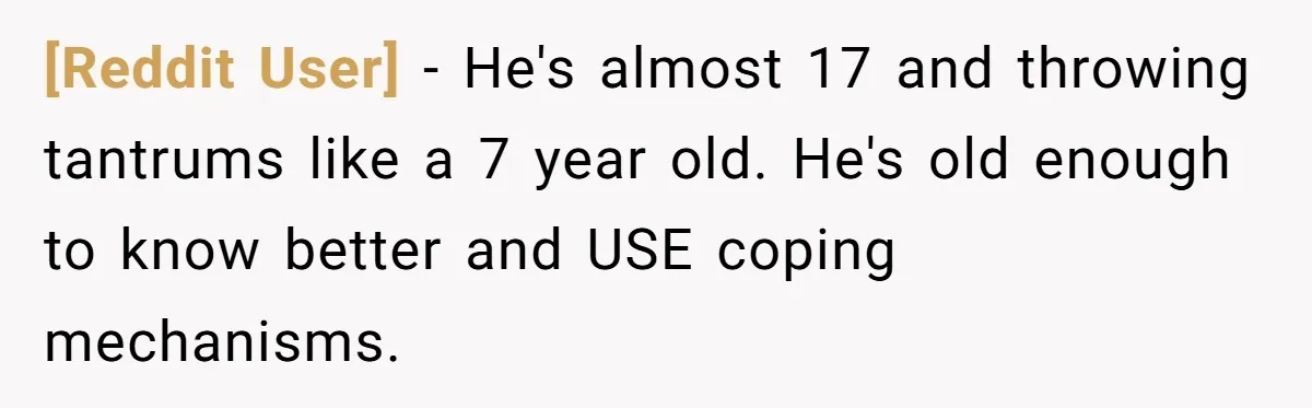 [Reddit User] − He's almost 17 and throwing tantrums like a 7 year old. He's old enough to know better and USE coping mechanisms.