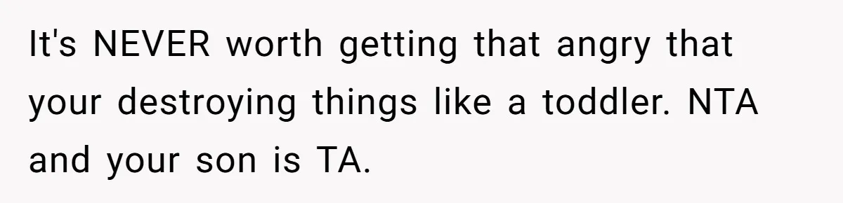 It's NEVER worth getting that angry that your destroying things like a toddler. NTA and your son is TA.